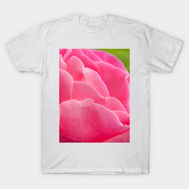 Pink Petals T-Shirt by Femaleform